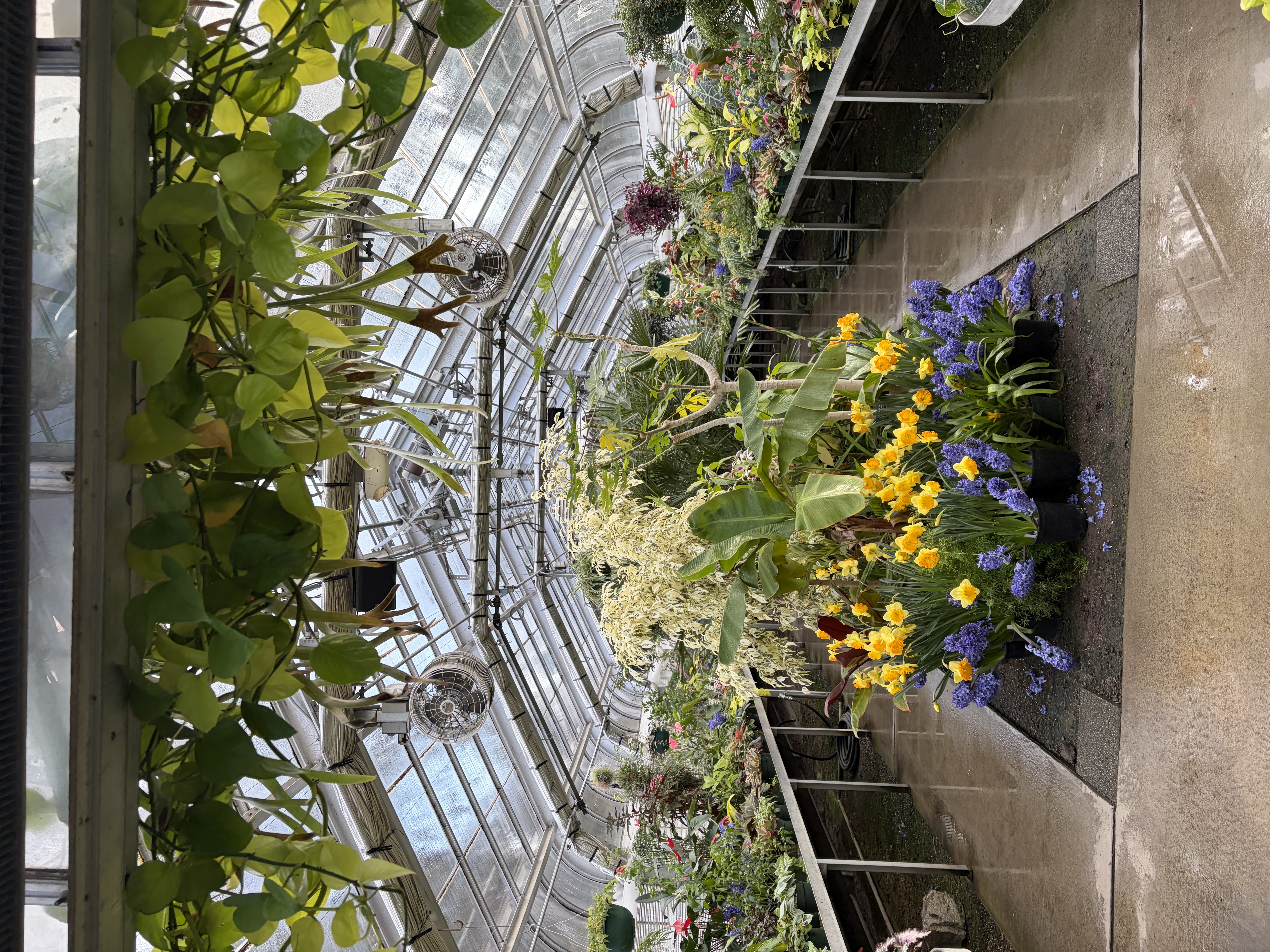 Interior of a botanical greenhouse filled with colorful blooms